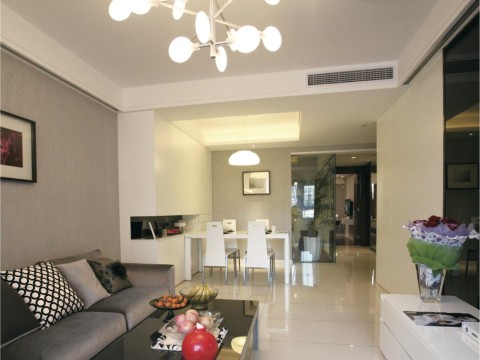 湖州約克中央空調(diào)清洗-圖